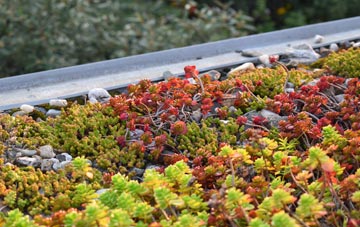 the cost of Chiswick End green roof installation