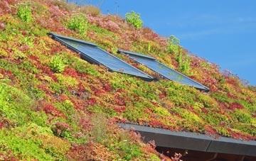 Chiswick End living roof systems