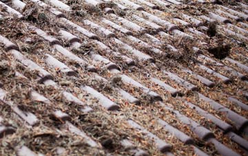 Chiswick End roof cleaning companies