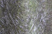 Chiswick End fibreglass roof work